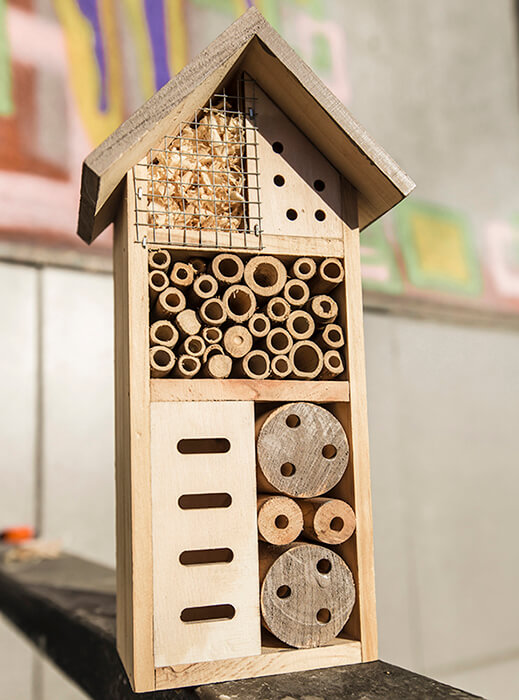 Où installer le nichoir à abeille à la maison